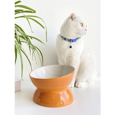 Seramik Yavaş Yeme Kedi Mama Kabı