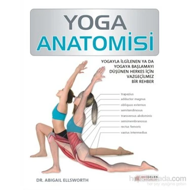 Yoga Anatomisi - Abigail Ellsworth 160