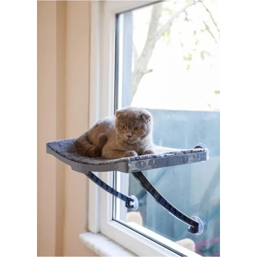 Kedi Yatağı CAM İÇİN