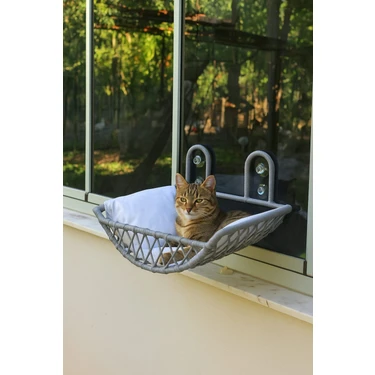 Tasaryum Store Kedi Köpek Dekoratif Cam Yatağı Vantuzlu