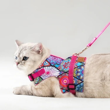 Pati Patron Kaçış Önleyici Kedi Gezdirme Tasması ve Küçük Irk Köpek Gezdirme