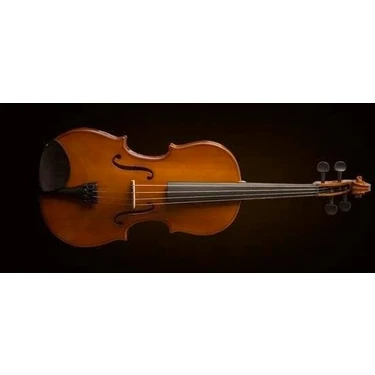Valencia VA16041 Viyola 16 Inç (Öğrenci Seti) | 40.6 cm - Hafif Kutu - Başlangıç Için