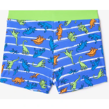 Renkli Dinozor Desenli Erkek Çocuk Boxer