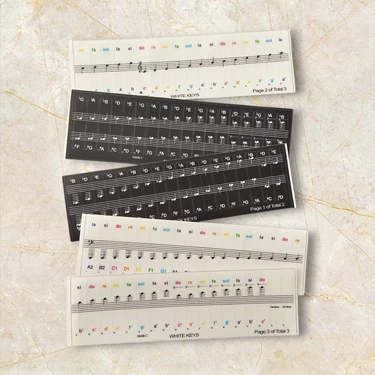 Happypotam Piyano Org Klavye Tuşları Için renkli Nota  Sticker Etiketi Aksesuarı 37-49-54-61-88