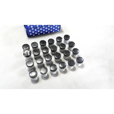 24 x Land Rover Freelander 1 00-06 2.5 V6 Itici Fincan Seti